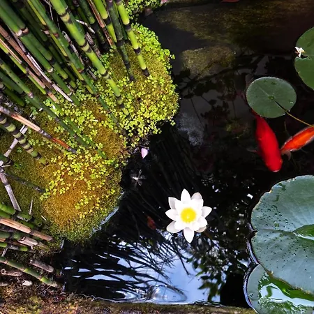 招待所 La Martinoise Garden