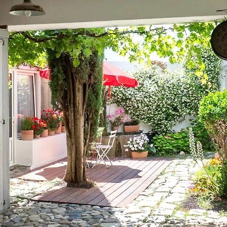 La Martinoise Garden Saint-Martin-de-Ré